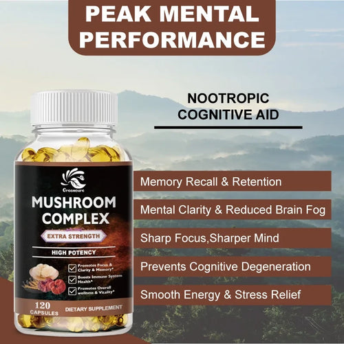 Lions Mane Cordyceps Nootropic Supplement